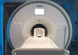 Micro MRI