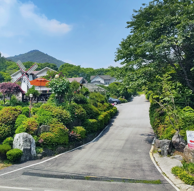 통창 너머 자연 풍경