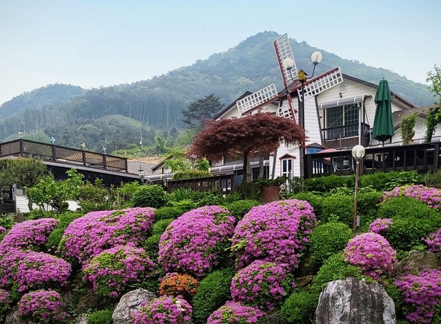 치악산 자락의 사계절