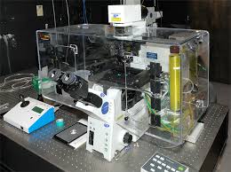 Real-time Microscopy