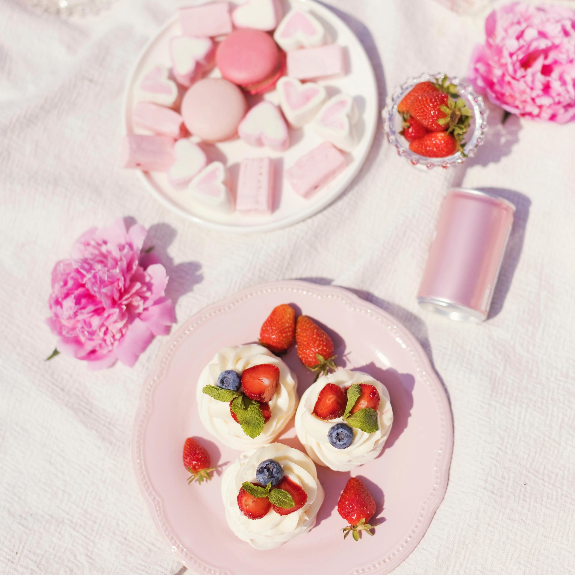 <p style="font-size:11px;">판나코나 & 마카롱</p>