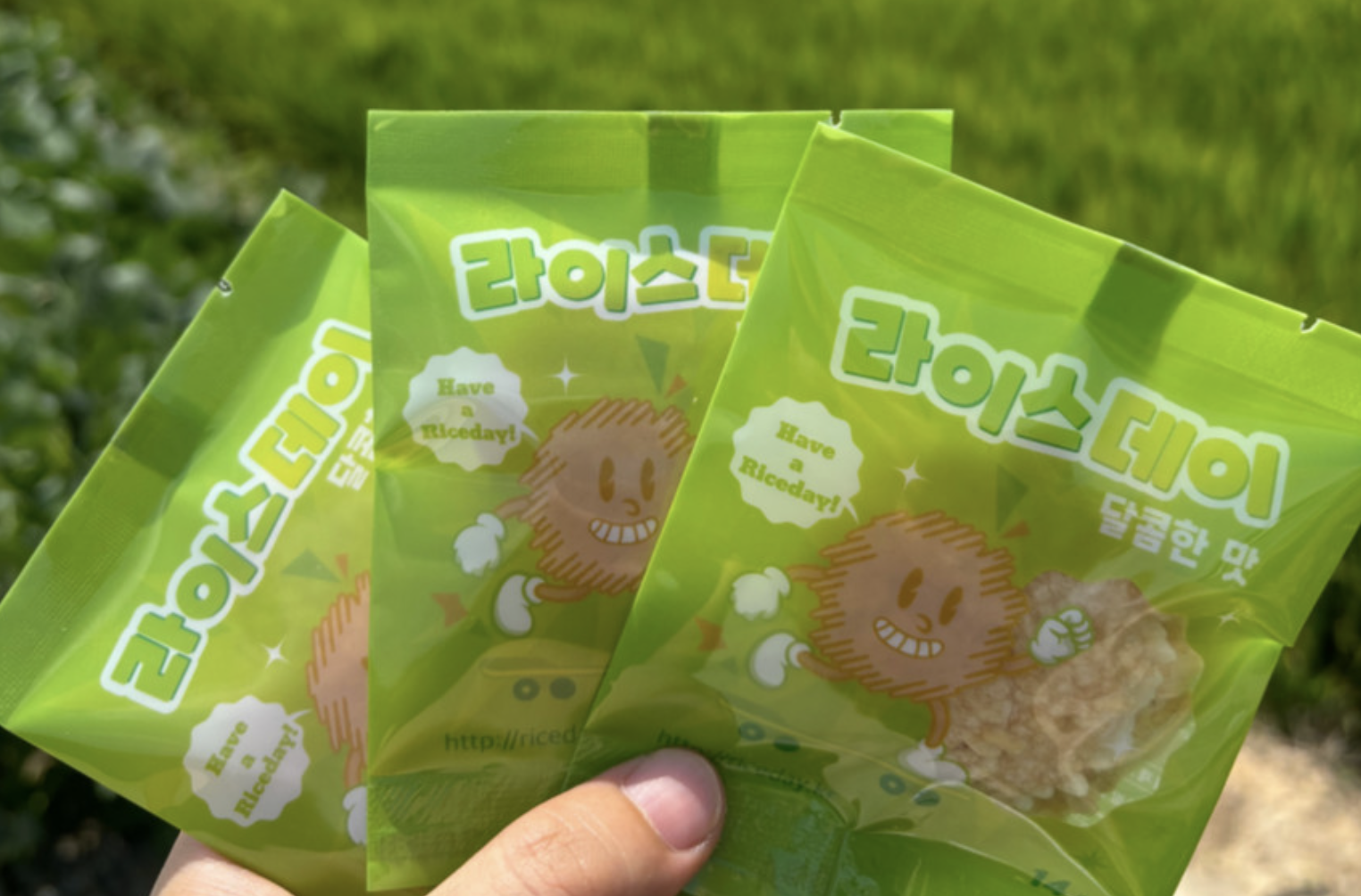 달콤한 맛 라이스데이