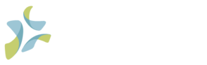 Radix Globiz