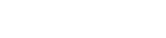 LaonGen AI