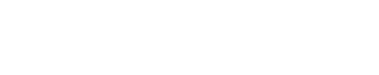 B2G Sales
