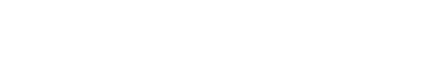 World Wide Link