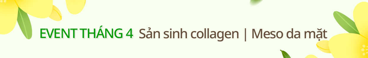 Không gồm VAT