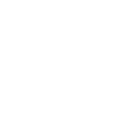 데이앤모먼트