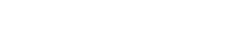 World Wide Link