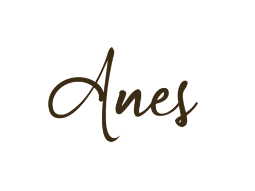 아네스 ANES