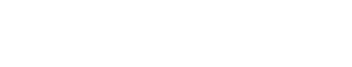 World Wide Link