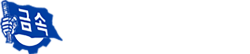 전국금속노동조합 대우조선지회