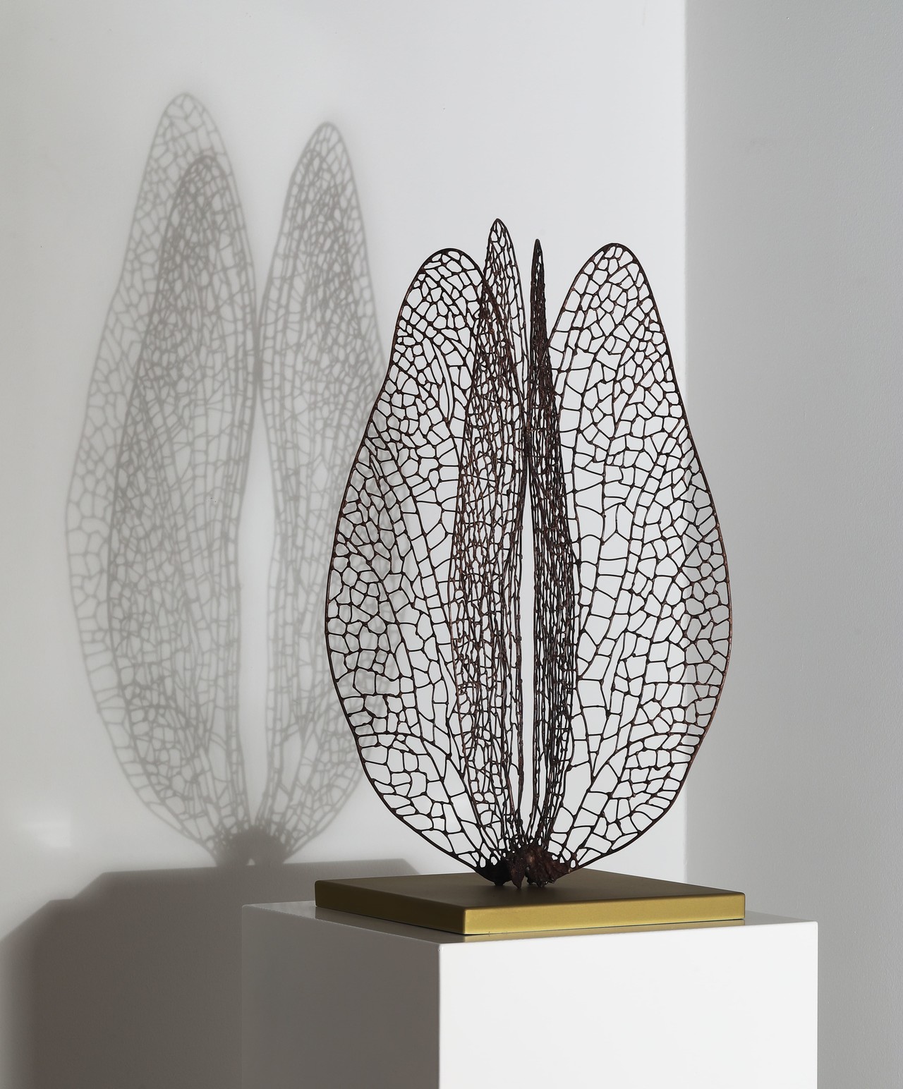 Four Wings, 2019, 김병진 작가