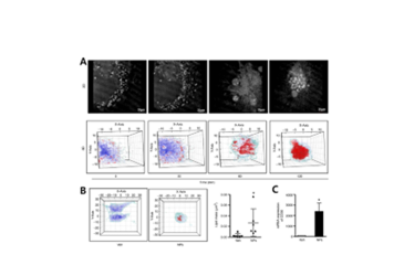 Anti-cancer effect