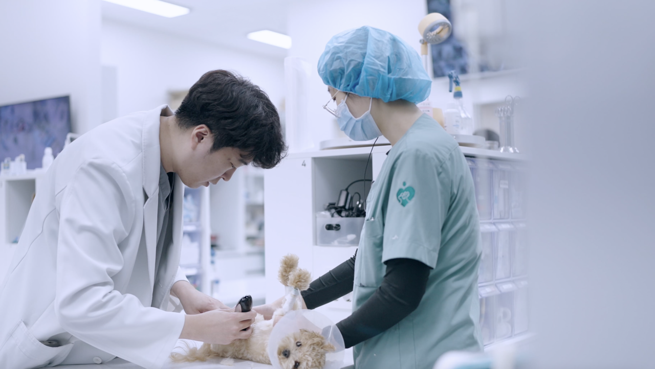 <b>특화진료<br>(Specialized Clinics)</b><br><br><font size="3">고난이도 진료, 저희가 책임지겠습니다</font>