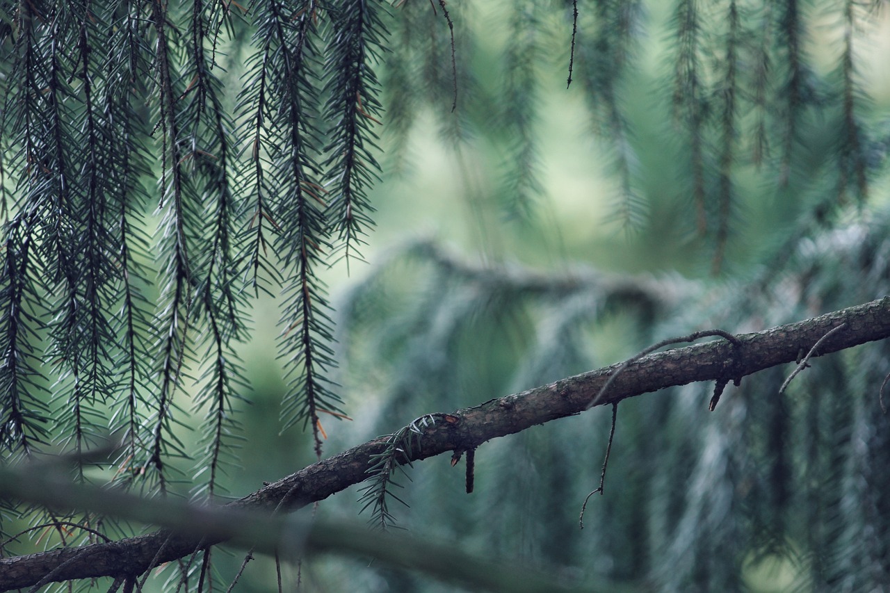 Environmental