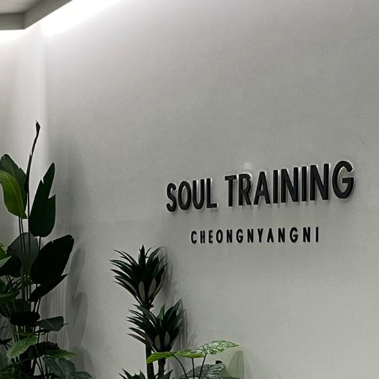 <p style="text-align:middle; font-size:18px; margin-top:16px;">SOUL TRAINING</p>CHEONGNYANGNI<br><span style="color:#666;">