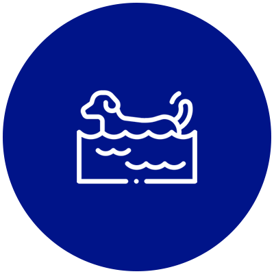 아쿠아 피트니스