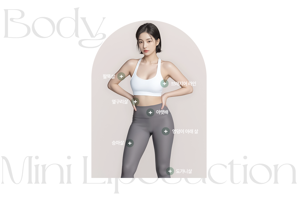 미니 지방흡입 시술부위