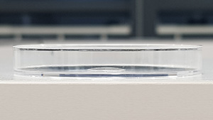 Plasma-Treated PS