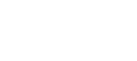 새로운 성경