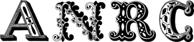 에이엔알콜렉티브 A&R COLLECTIVE Ltd.