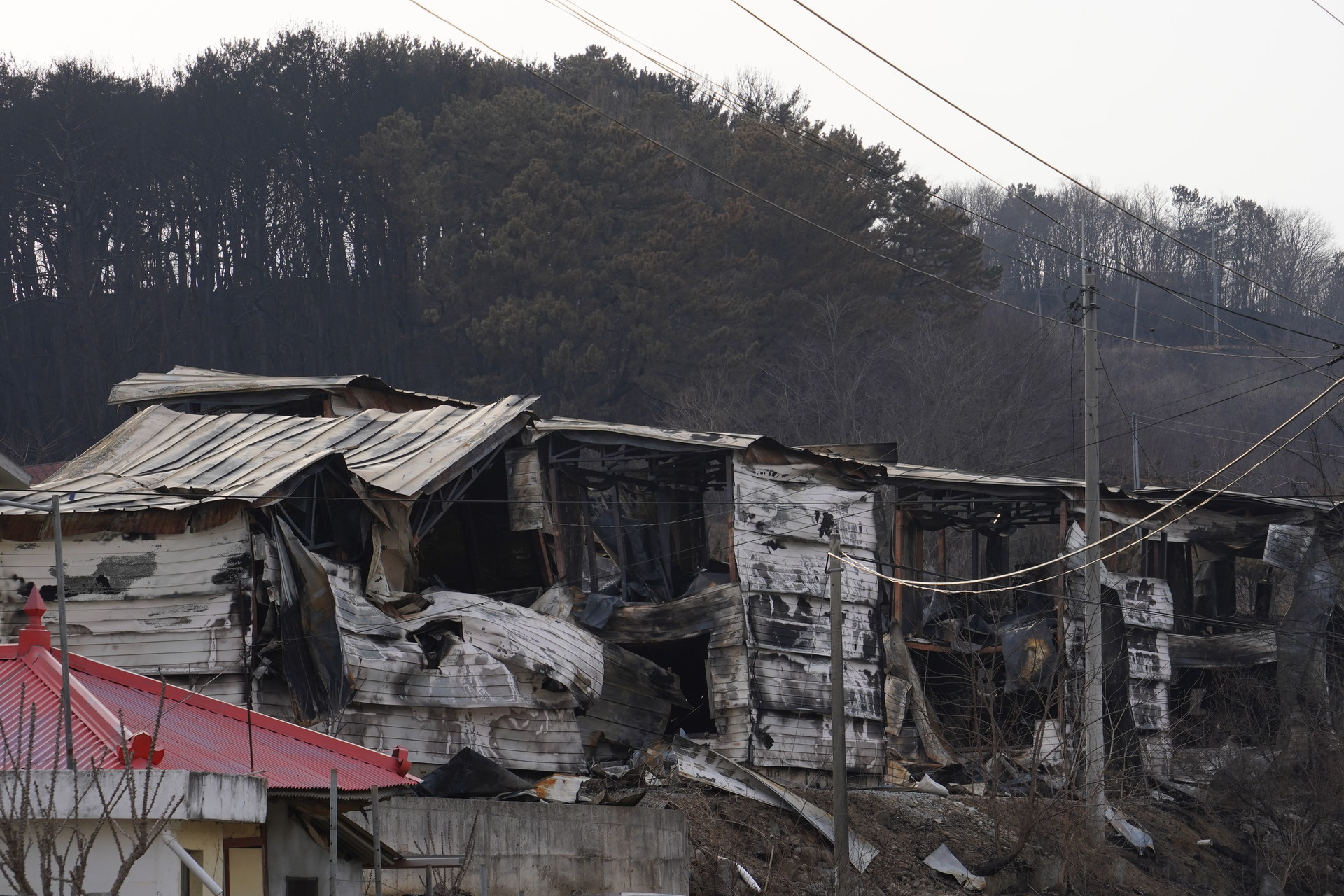 (출처:산림청, 경북 영덕군 산불피해, 공공누리제4유형, 2025)