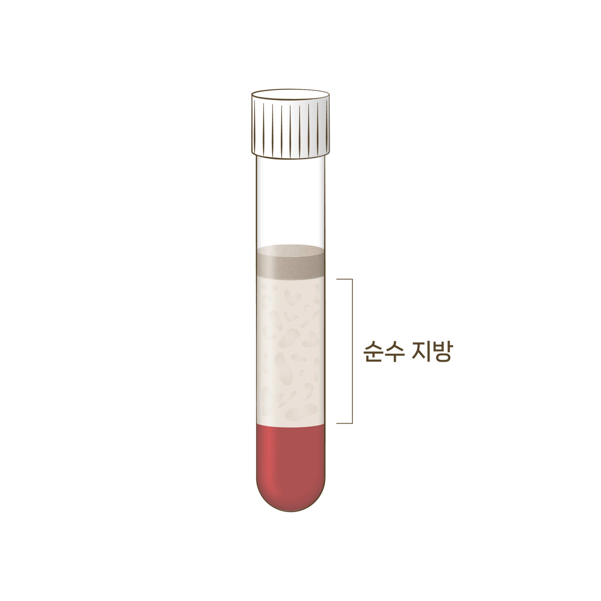 <p style="text-align: center;"><span style="font-size: 14px;">눈꼬리 부분 절개</span></p>