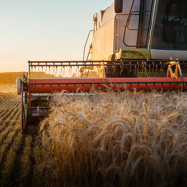 <p style="padding-bottom: 20px;"><strong>Agricultural<br>Machinery</strong></p>