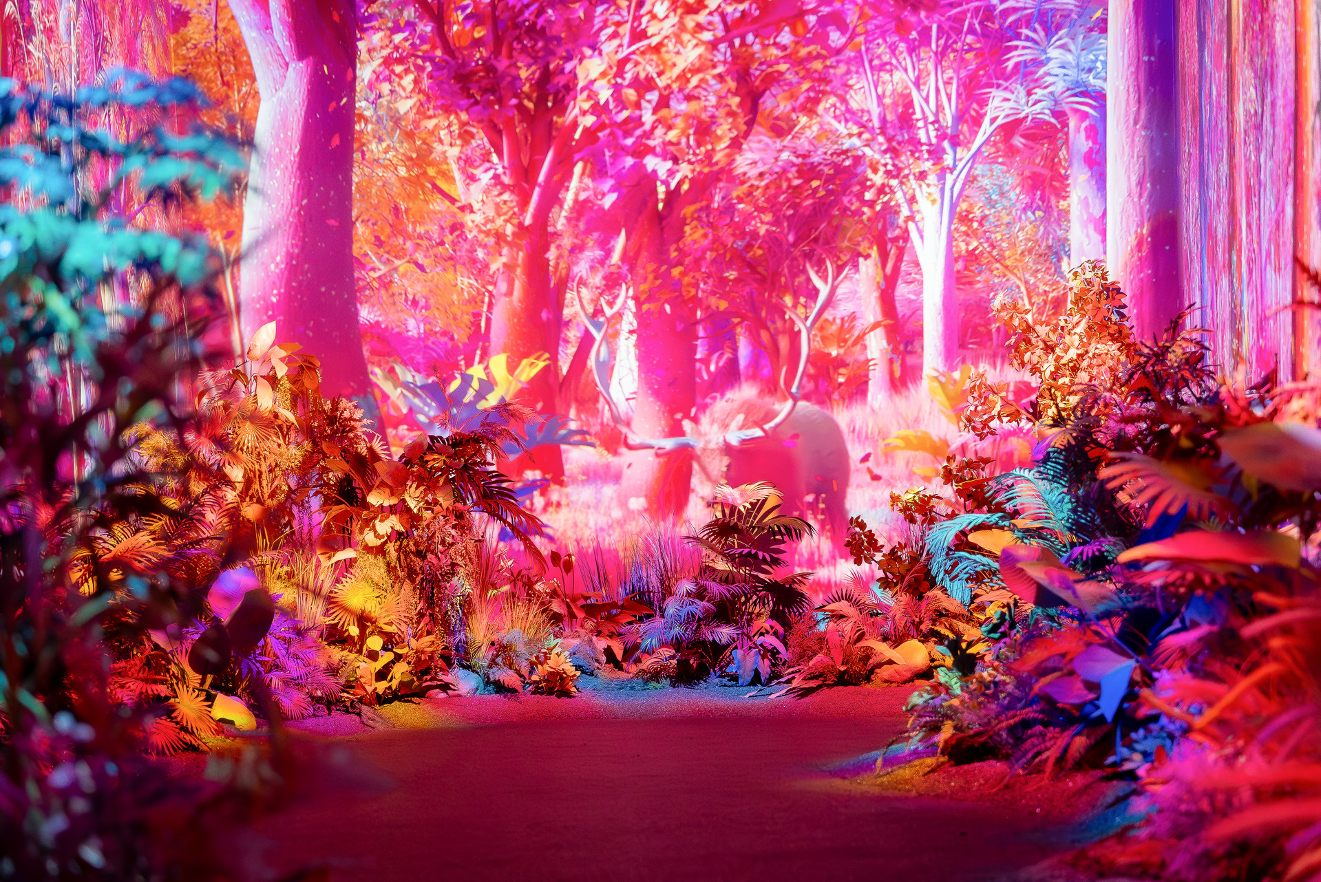 mobile background