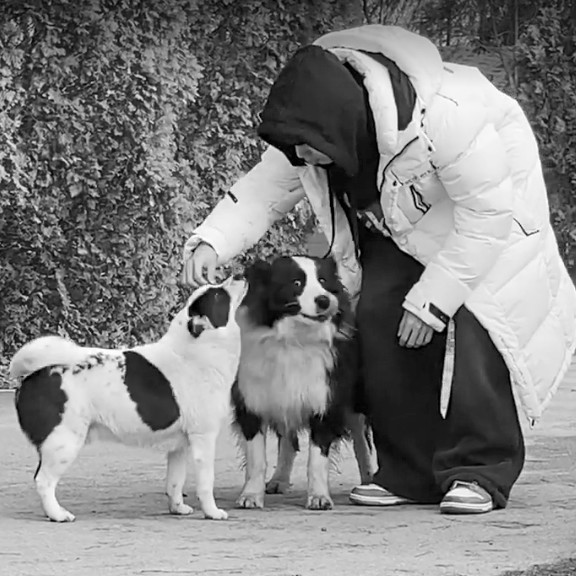 <p style="text-align:center; font-size:18px; margin-top:18px; line-height:1.2;">          <span style="color:#f4a82c;">Concept Artist.  카포<br></span>