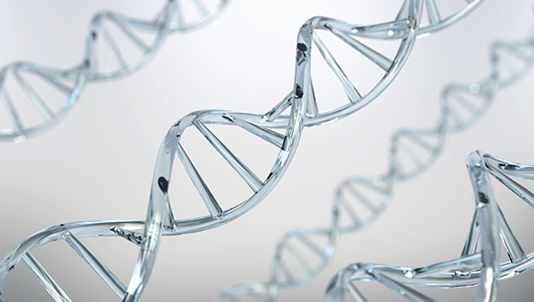 DNA 형상화한 모습