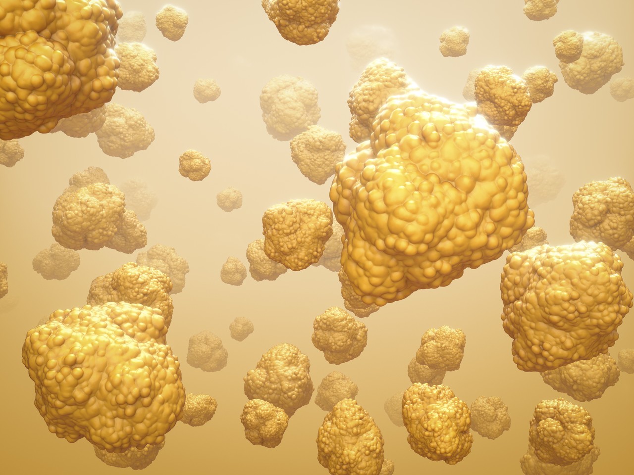 지방 분리 및 추출