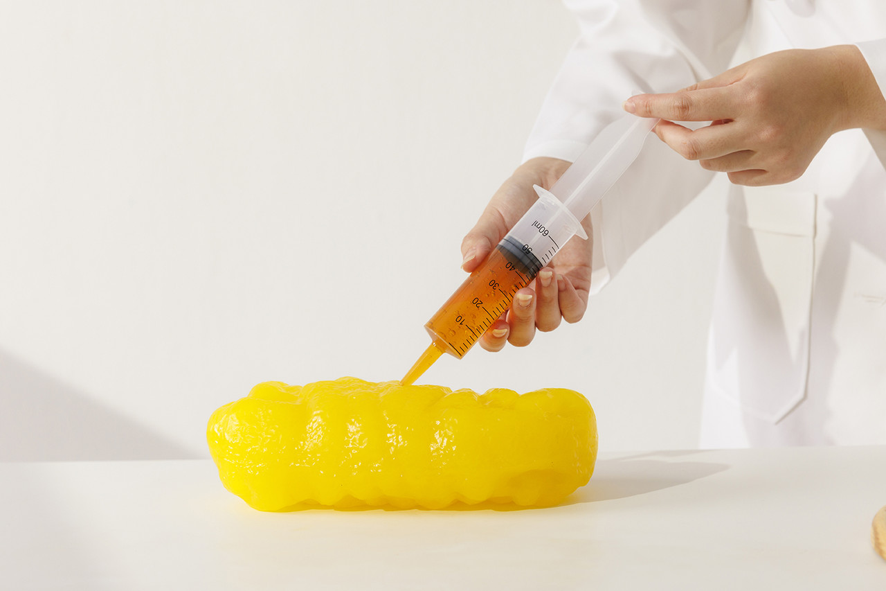 지방 모형에 지방채취 재현