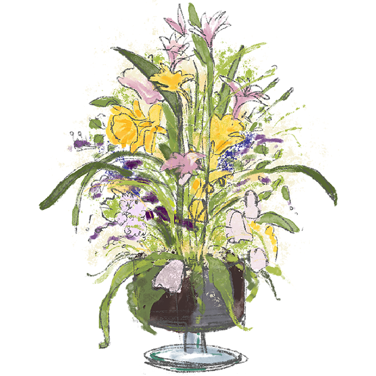 illustrations