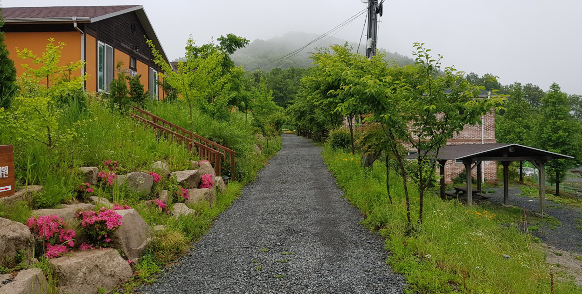 mobile background