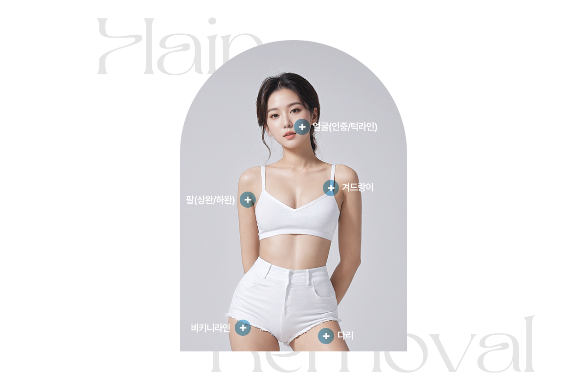 제모 시술부위를 안내하는 이미지