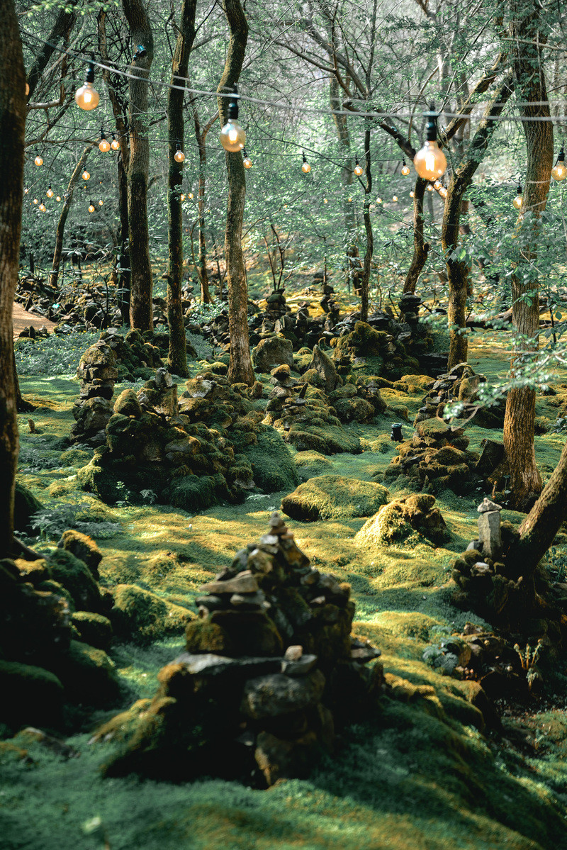 스테이지 캠핑앤 풀빌라 근방의 여행지인 제이드가든 입니다.