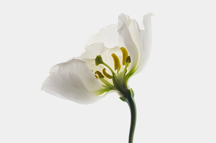 리드성형외과-진료철학-임준호-대표원장-임준호원장