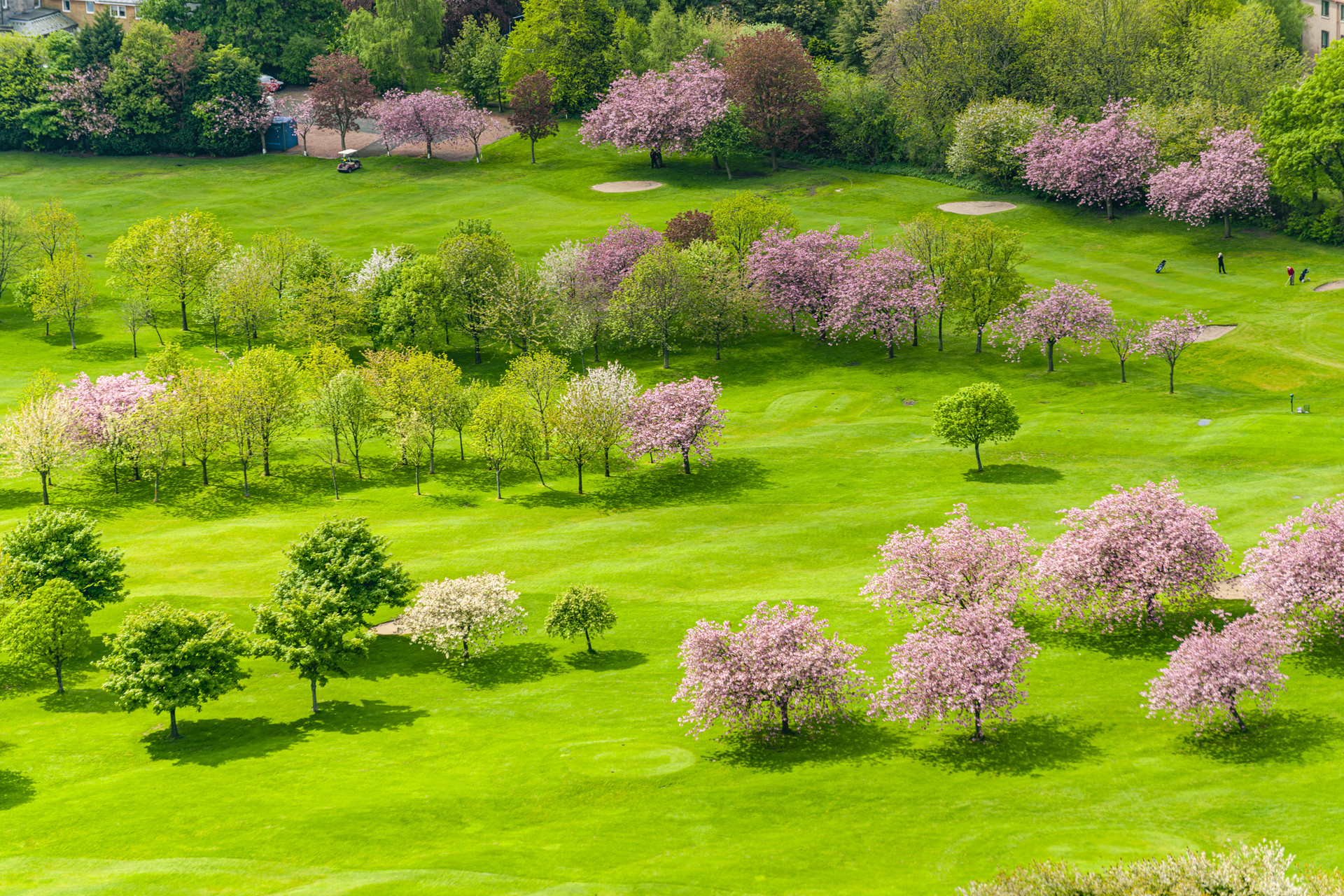 우리는 우리가 늘 생각하는 것이 된다. 그것이 가장 묘한 비밀이다.  - 얼 나이팅게일(Earl Nightingale V, 1921-1989), 미국의 작가