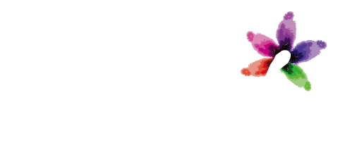보노체