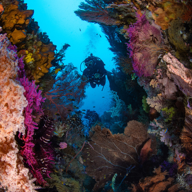 RAJA AMPAT