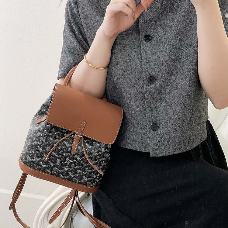 고야드 알팡 백팩 미니 브라운