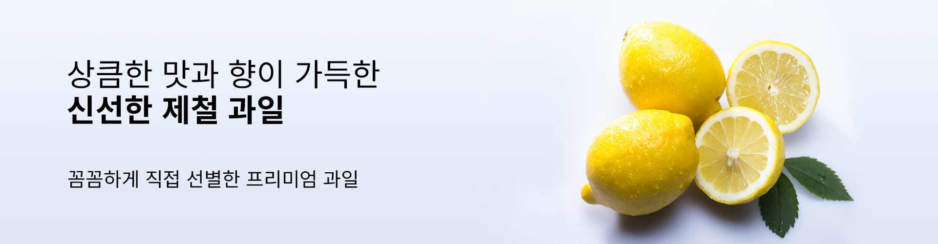 윈디 쇼핑몰 과일