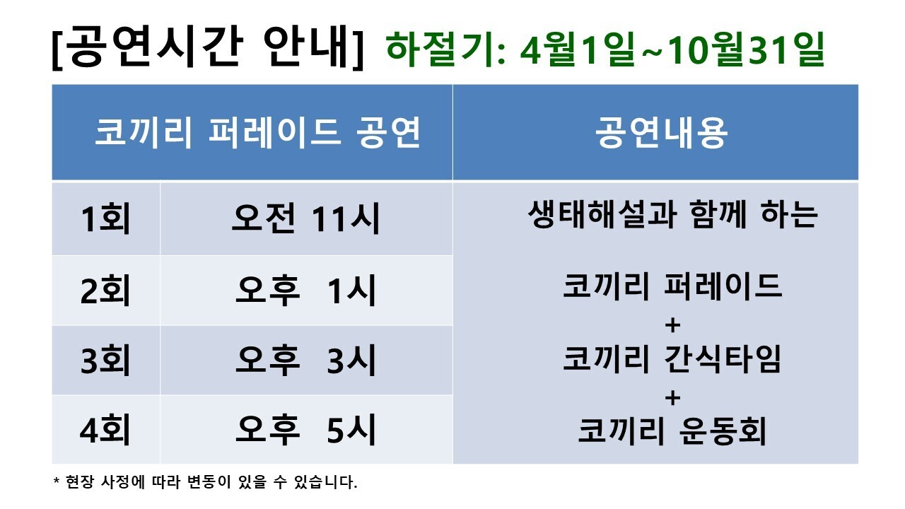 점보빌리지 사진 4