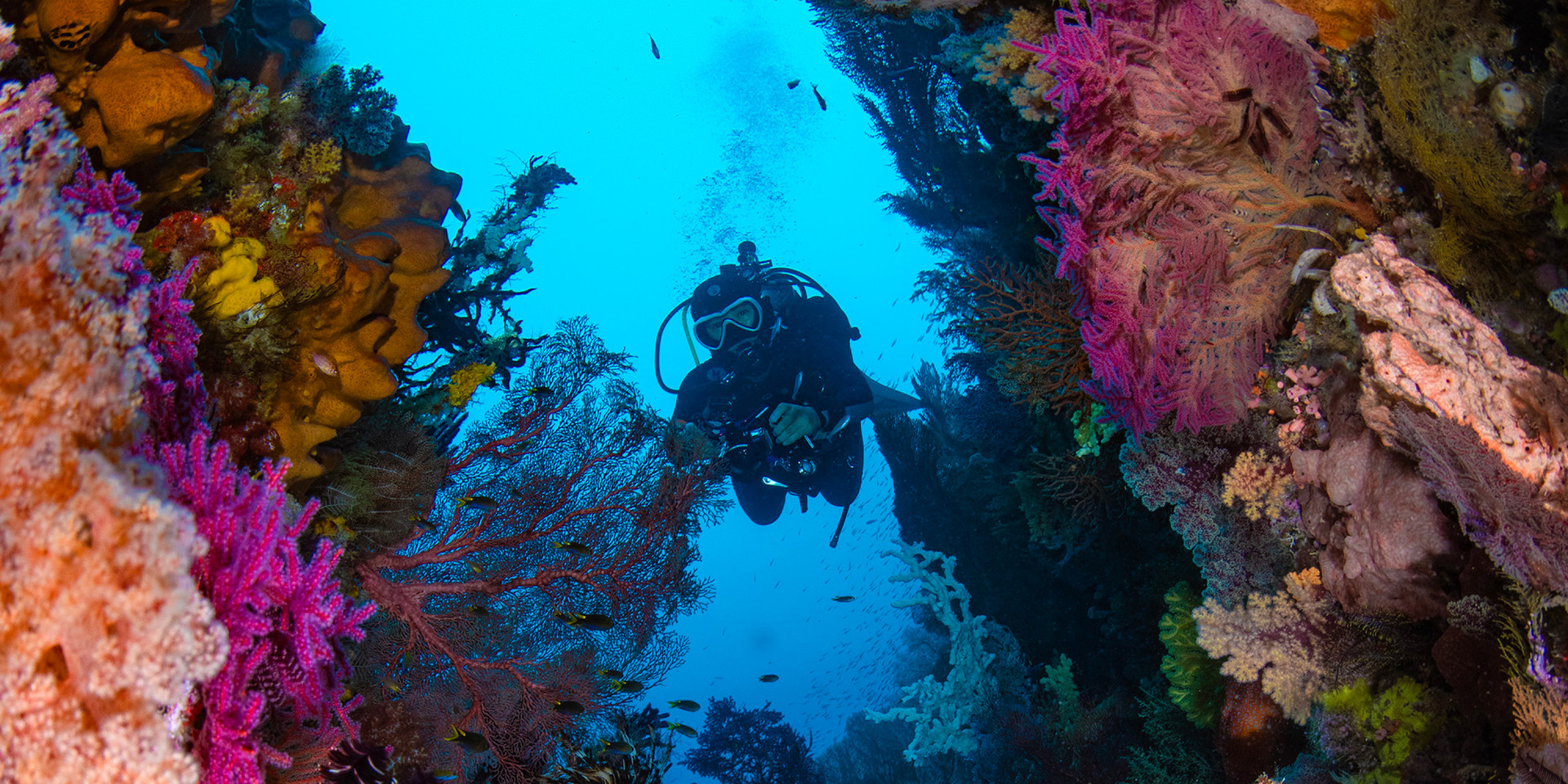 RAJA AMPAT
