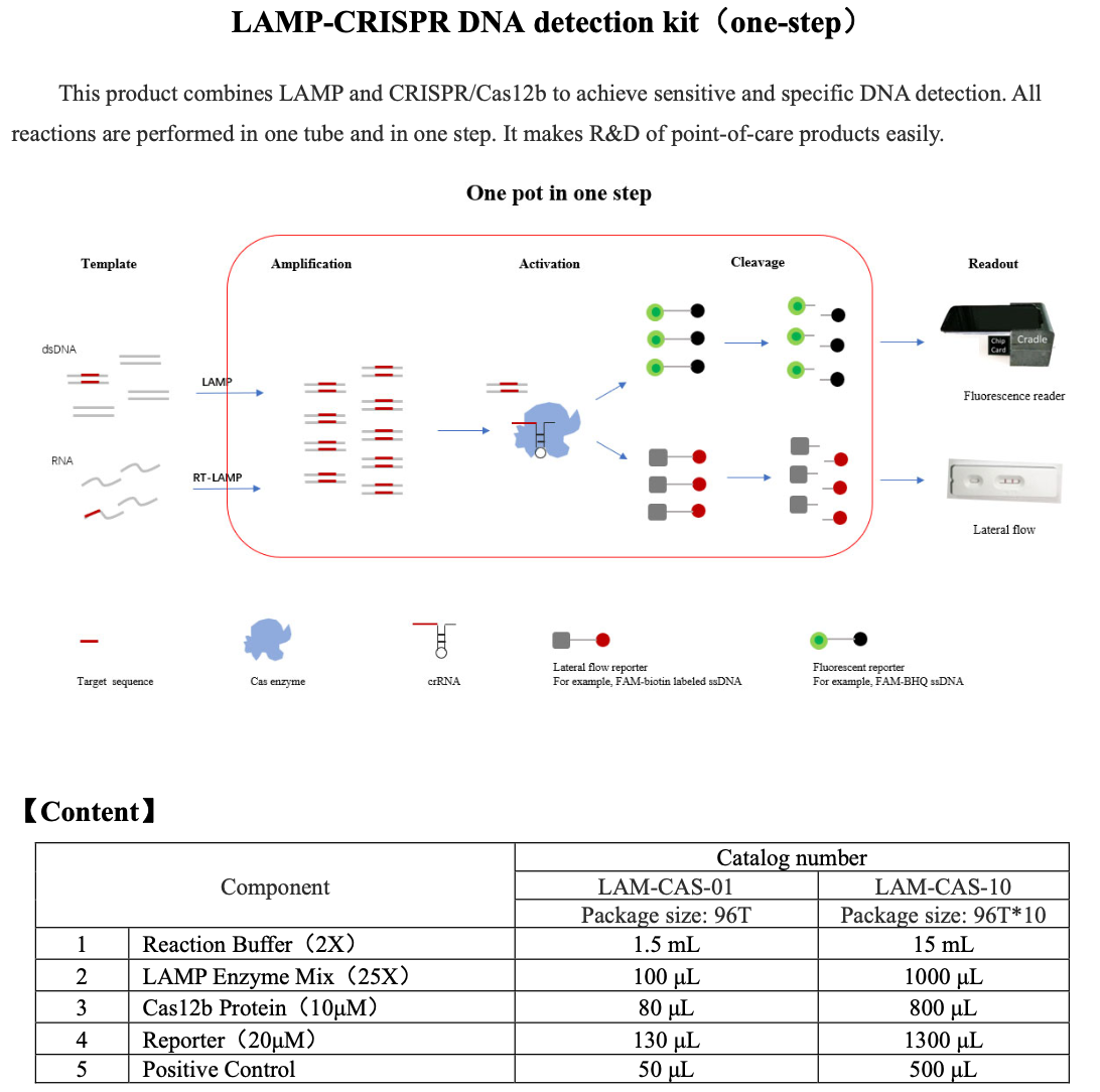 LAMP-CRISPR DNA/RNA detection kits（one-step） : CRISPR Mediated DNA/RNA ...