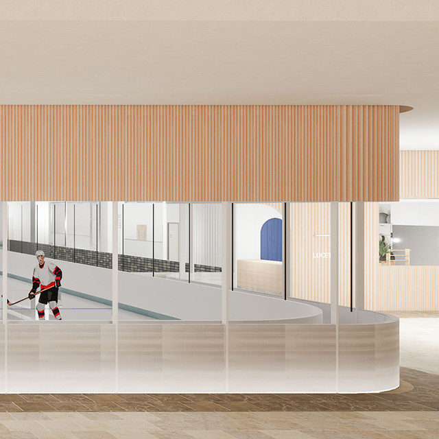 <p style="text-align:middle; font-size:18px; margin-top:16px;">WAVES ICE RINK</p>LOTTE MALL<br><span style="color:#666;">