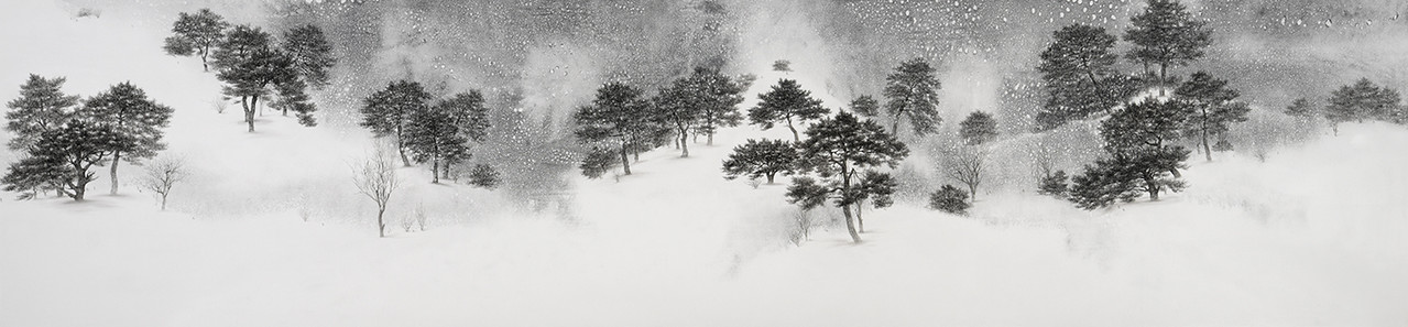 nostalgia, Oil on canvas, 250 x 60cm, 2024