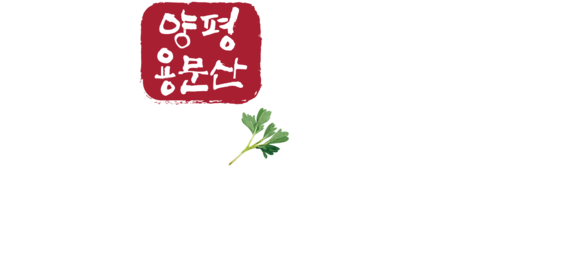 용문산 산나물축제